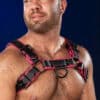 Mr. S Leather Hardline Bulldog Harness Pink Small/Medium