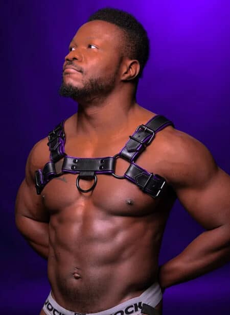 Mr. S Leather Hardline Bulldog Harness Purple Large/Extra large