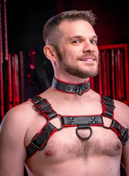 Mr. S Leather Hardline Bulldog Harness Red Large/Extra large