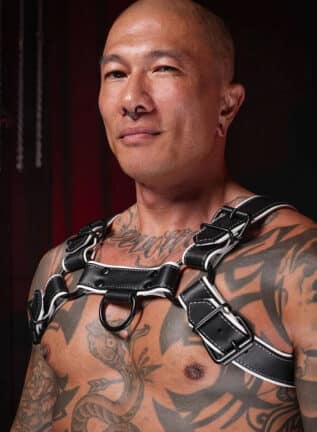 Mr. S Leather Hardline Bulldog Harness White Small / Medium