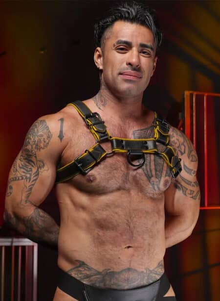 Mr. S Leather Hardline Bulldog Harness Yellow Extra large/XXL