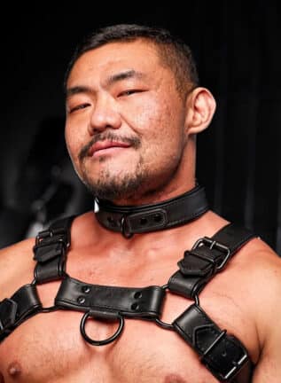 Mr. S Leather Hardline Collar Black