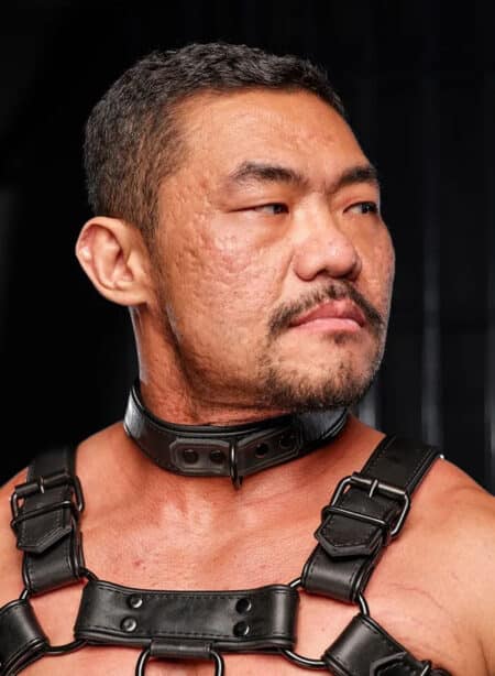 Mr. S Leather Hardline Collar Black