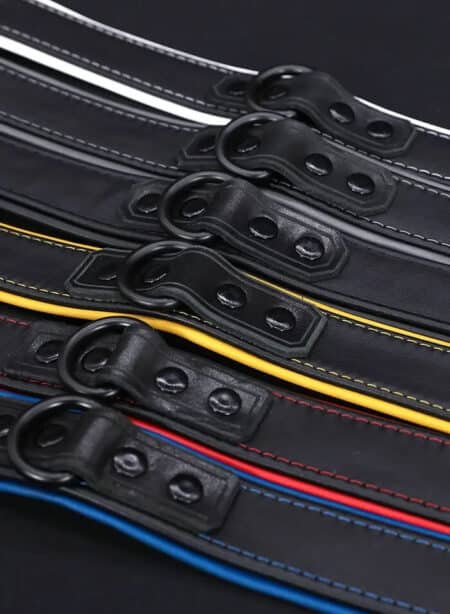 Mr. S Leather Hardline Collar Black