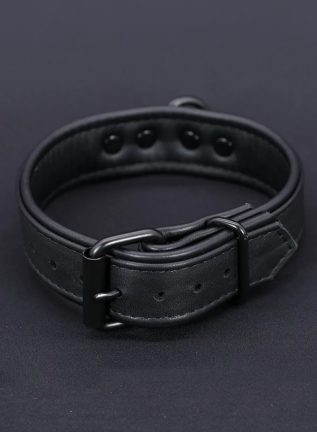 Mr. S Leather Hardline Collar Black
