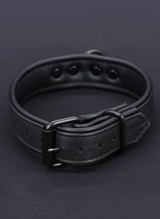 Mr. S Leather Hardline Collar Black