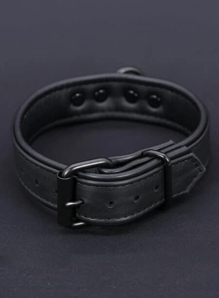 Mr. S Leather Hardline Collar Black