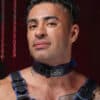 Mr. S Leather Hardline Collar Blue