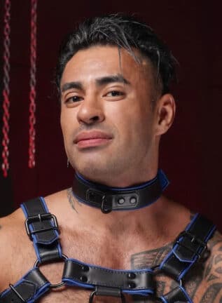 Mr. S Leather Hardline Collar Blue