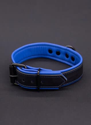 Mr. S Leather Hardline Collar Blue