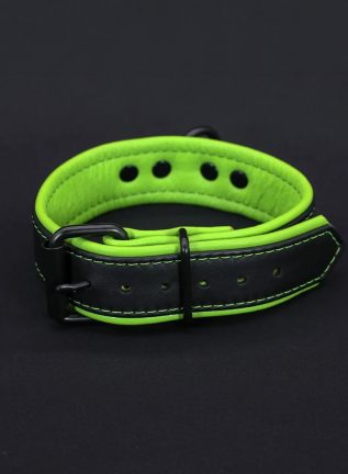 Mr. S Leather Hardline Collar Lime