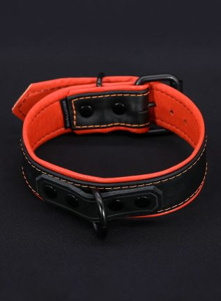 Mr. S Leather Hardline Collar Orange