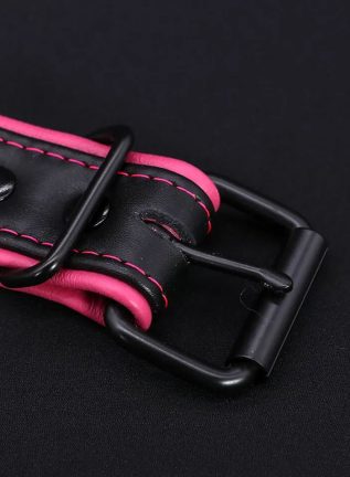 Mr. S Leather Hardline Collar Pink