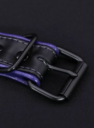 Mr. S Leather Hardline Collar Purple