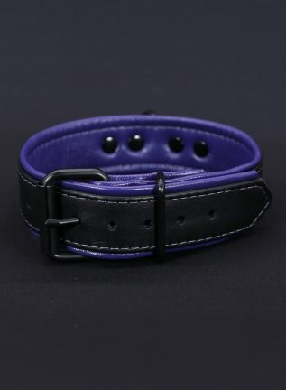 Mr. S Leather Hardline Collar Purple