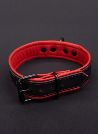 Mr. S Leather Hardline Collar Red