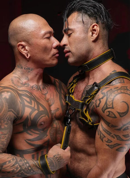 Mr. S Leather Hardline Collar Yellow