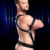 Mr. S Leather Hardline Hunter Harness Blue Small/Medium