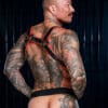 Mr. S Leather Hardline Hunter Harness Orange Small/Medium