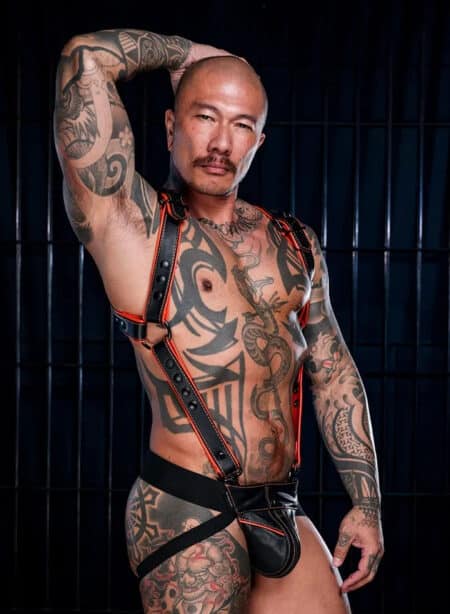 Mr. S Leather Hardline Hunter Harness Orange Small/Medium