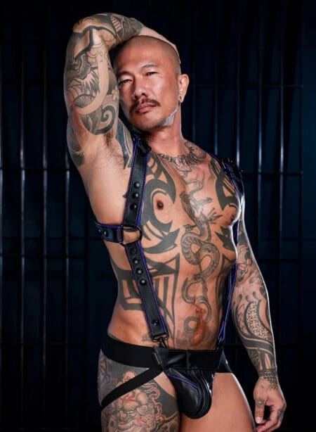 Mr. S Leather Hardline Hunter Harness Purple Large/Extra large