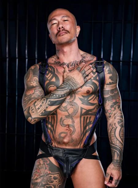 Mr. S Leather Hardline Hunter Harness Purple Large/Extra large