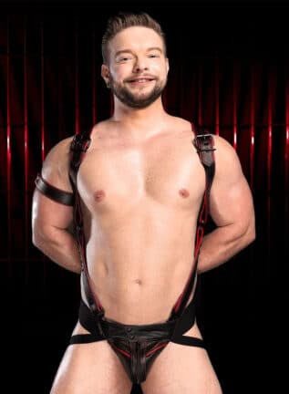 Mr. S Leather Hardline Hunter Harness Red Small/Medium