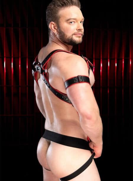 Mr. S Leather Hardline Hunter Harness Red Small/Medium