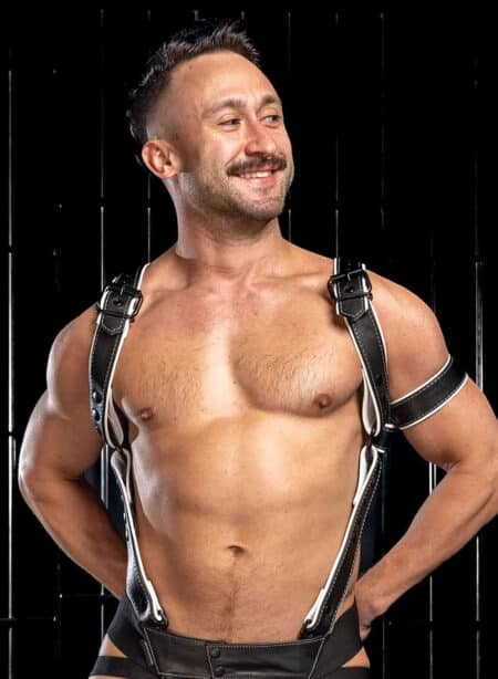 Mr. S Leather Hardline Hunter Harness White Small/Medium