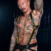 Mr. S Leather Hardline Hunter Harness Yellow Small/Medium