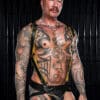 Mr. S Leather Hardline Hunter Harness Yellow Small/Medium