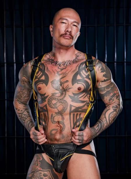Mr. S Leather Hardline Hunter Harness Yellow Small/Medium