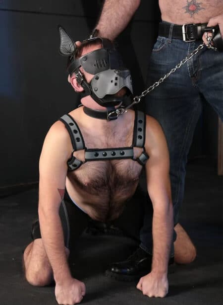 Mr. S Leather Bondage Dog Muzzle Grey