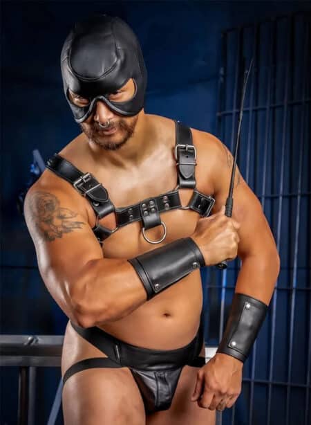 Mr. S Leather Dungeon Half Hood Medium