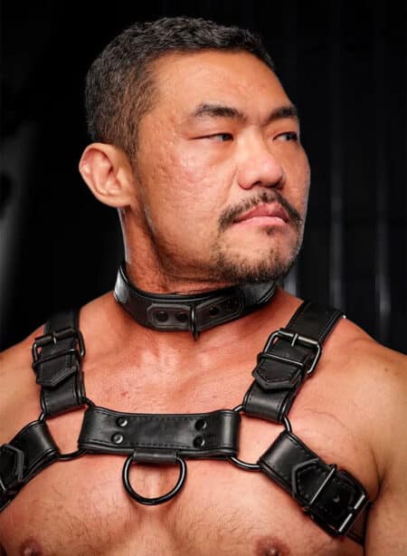 Mr. S Leather Hardline Bulldog Harness Black Medium/Large