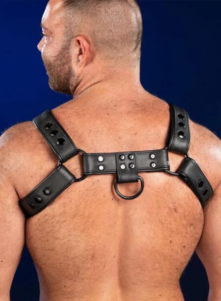 Mr. S Leather Hardline Bulldog Harness Black Medium/Large