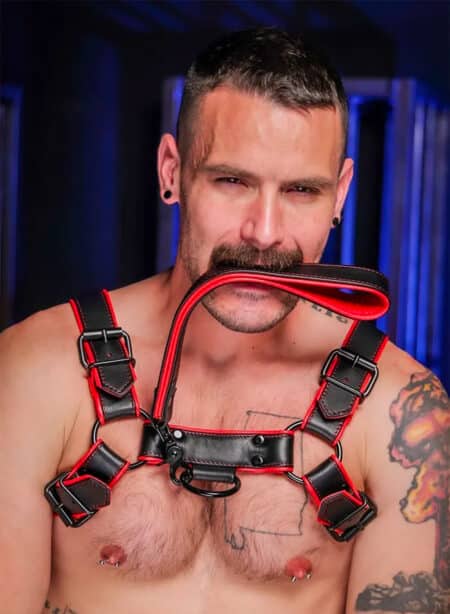 Mr. S Leather Hardline Short Leash Red