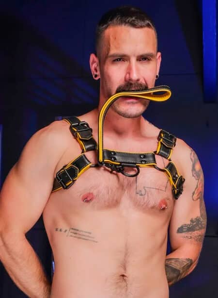 Mr. S Leather Hardline Short Leash Yellow