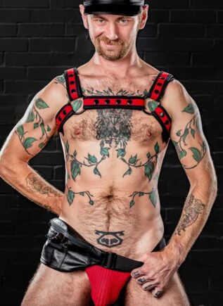 Mr. S Leather Hip Holster Black Small/Medium