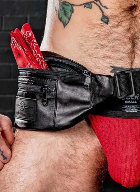 Mr. S Leather Hip Holster Black Small/Medium