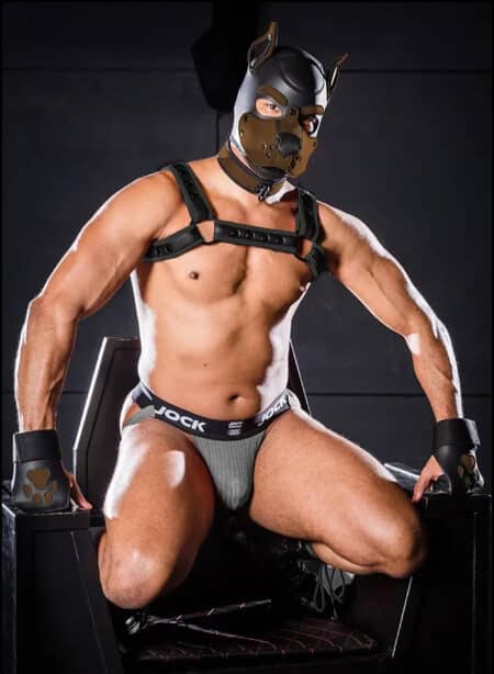 Mr. S Leather Open Paw Puppy Glove Brown