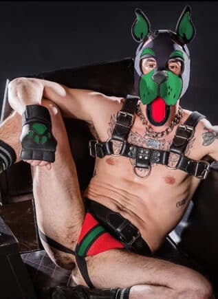 Mr. S Leather Open Paw Puppy Glove Hunter