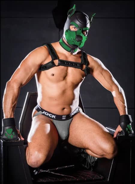 Mr. S Leather Open Paw Puppy Glove Hunter