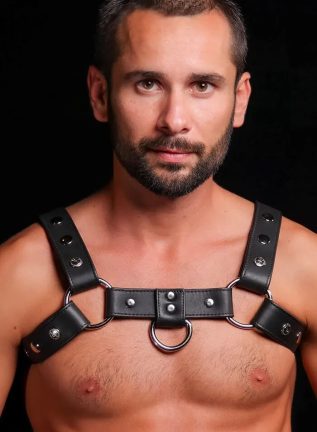 Mr. S Leather Silver Snap Bulldog Harness Extra small/Small