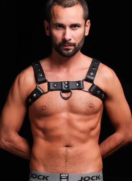 Mr. S Leather Silver Snap Bulldog Harness Extra small/Small