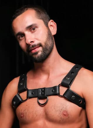 Mr. S Leather Silver Snap Bulldog Harness Extra small/Small