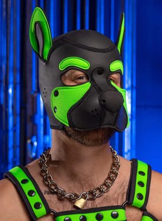 Mr. S Neo Frisky Pup Hood Lime Medium