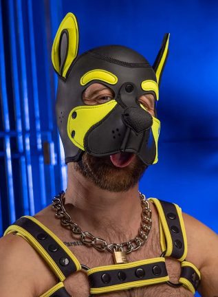 Mr. S Neo Frisky Pup Hood Yellow Large