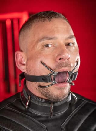 Mr. S Spyder Gag One size