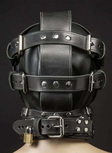 Mr. S Leather Sci-Fi Hood